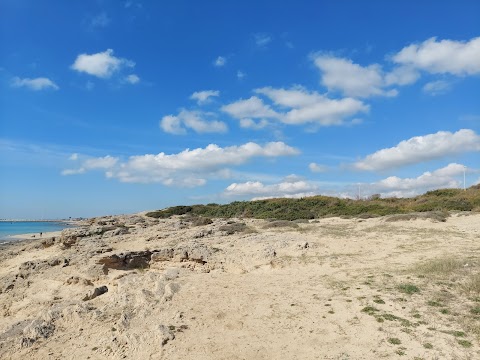 Dune di Campomarino