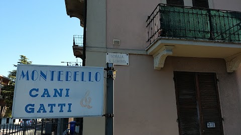 Montebello Cani e Gatti