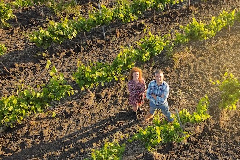 Vini Leonarda Tardi - Vino e Vigneti