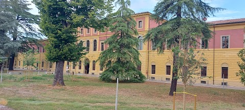 Ospedale Psichiatrico Provinciale Luigi Lolli