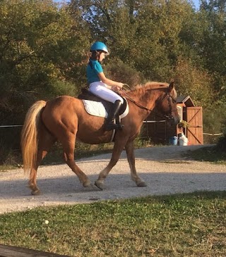 Cavalli Naturalmente Toscany