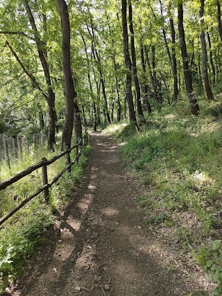 Sentiero Bosco di San Celso