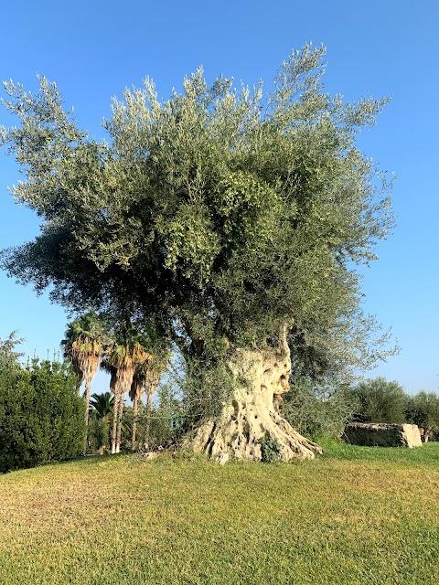 Terme di Roma - Acque Albule