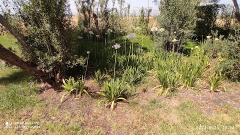 Il Giardino del Biviere