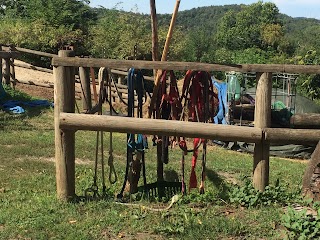 V-Ranch Centro Turismo Equestre