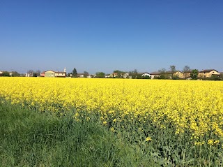 Comune Di Porto Mantovano