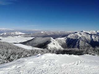 Vedute di Monte Autore - Radura