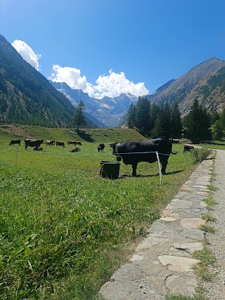 Parco Nazionale Gran Paradiso