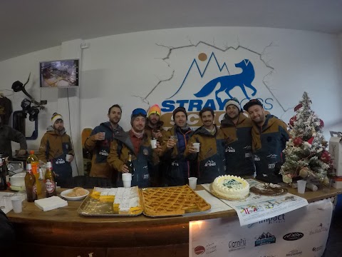 Stray Dogs School - Scuola Sci e Snowboard - Le Polle Cimone Riolunato - Ciaspolate e Trekking in Appennino