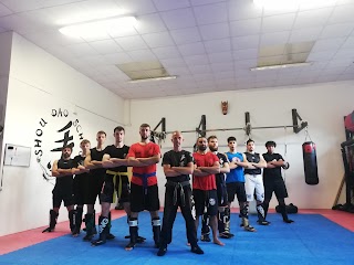 Shou Dao School - Scuola di Arti Marziali e Sport da Combattimento a Pontedera