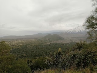 Monte Minardo