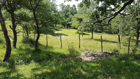 Tabaccheria di Febraro Donatella