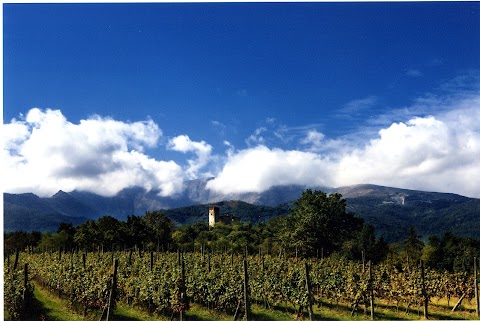 Castello di Bagnolo, Parco e Agriturismo