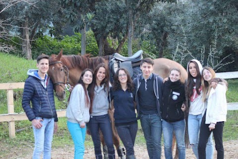 A.S.D. Horsesense Italia Scuola di Equitazione