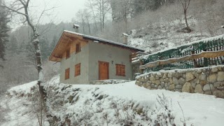 Chalet immerso nel verde