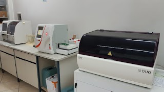 Laboratorio Analisi Clinico Chimiche S.Ciro Di V. Carbone Sas