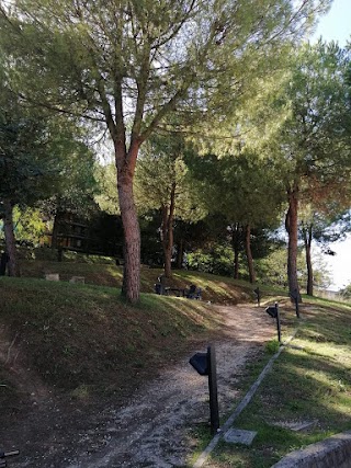 Parco delle Mimose