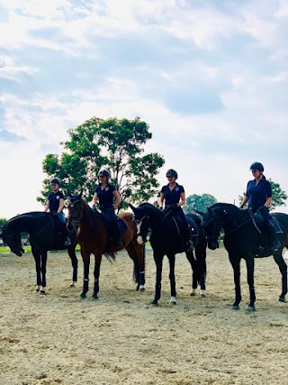 Centro Equestre Bresciano-Dressage-Chiari