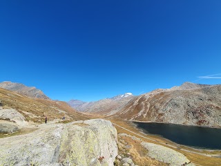 Colle del Nivolet