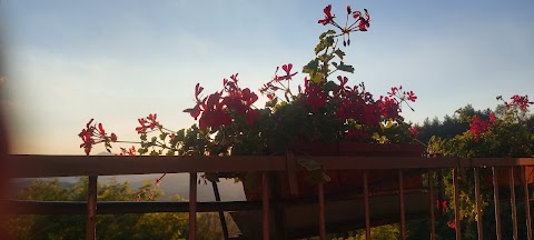 La Terrazza