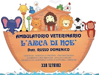 L' Arca Di Noe' Ambulatorio Veterinario Dr. Domenico Russo