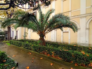 Pontificio Istituto Orientale