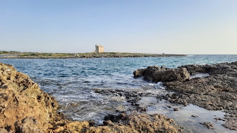 Area naturale marina protetta Porto Cesareo