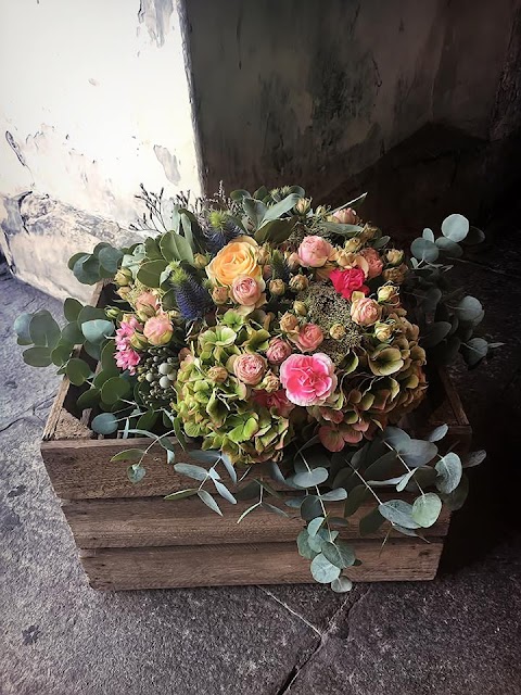 Frida's Rovigo | Italian Flower Stores