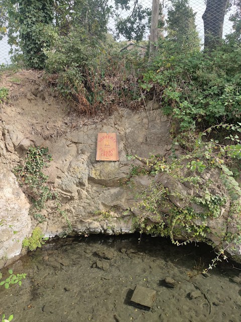 Parco della Sorgente di Fossato Callo