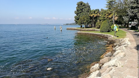 Consorzio Lago di Garda Veneto