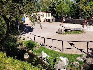 Bioparco