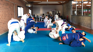 Gracie Barra Ladispoli Roma - Scuola di Brazilian Jiu-Jitsu