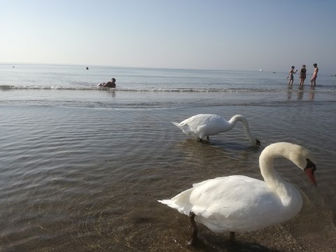 ChioscoFaro Jesolo