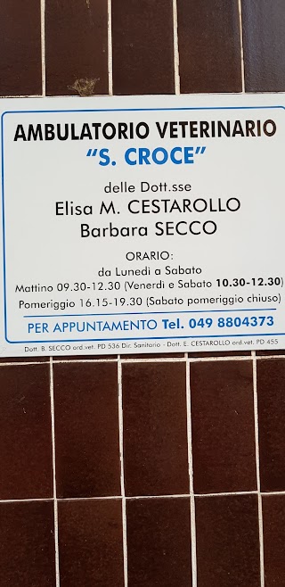 Ambulatorio Veterinario S. Croce