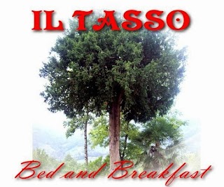 Bed and Breakfast IL TASSO