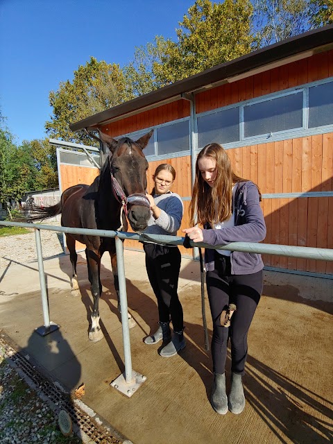 Centro Equestre - Il Primo Cavaliere