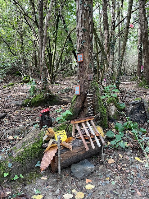 Bosco degli gnomi di Cianigun