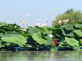 Escursioni fluviali