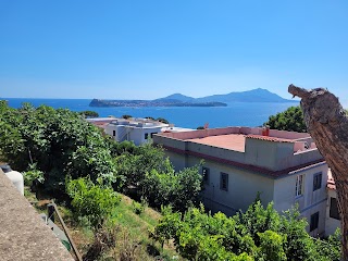 L'Orizzonte