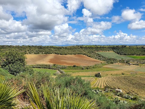 Feudi del Pisciotto Wine Relais