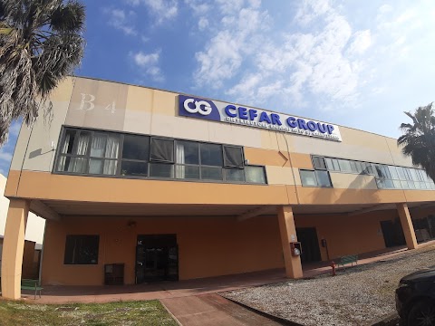 Cefar Group Srl