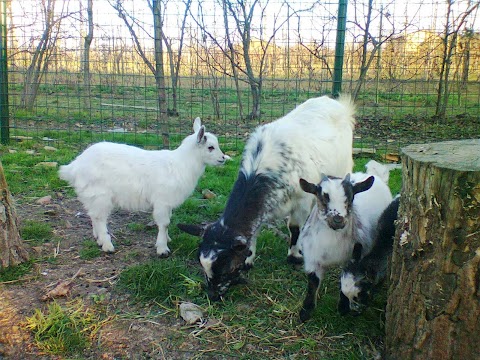 Agriturismo L'Ulivo