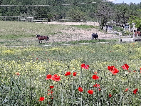 Bed & Relax CasAle ManSano Little Paradise