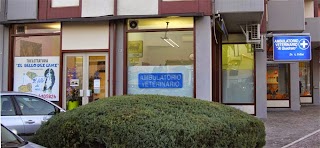 Ambulatori veterinari AL QUADRATO