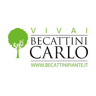 Soc. Agr. Vivai Becattini Carlo di F. e L. s.s