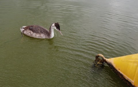 Laghi La Bozza