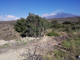 Etna Ovest - Parco dell'Etna