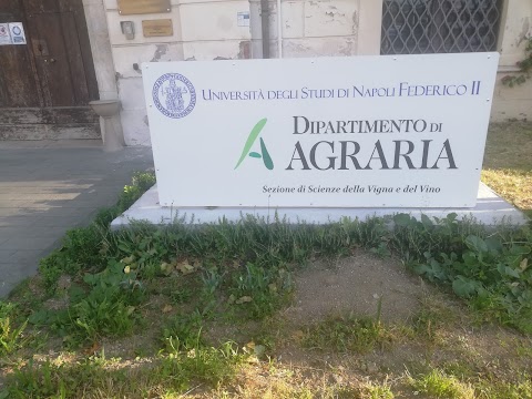 Università Dipartimento Di Agraria Viticoltura Ed Enologia