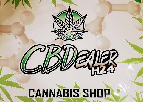 CBDealer H24 - Flowers and Growing