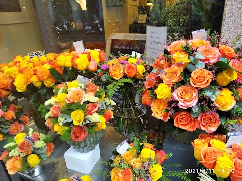 Frida's Milano - corso Genova | Italian Flower Stores